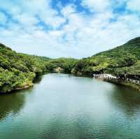 基隆之美-情人湖公園、環湖步道和美麗的吊橋！