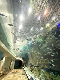 名古屋の観光名所　　名古屋港水族館
