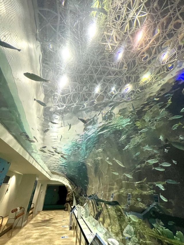 名古屋の観光名所　　名古屋港水族館