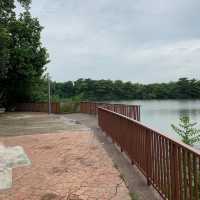 Lorong Halus wetland park 
