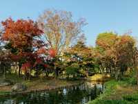 花田苑の紅葉