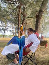 หาดวาสุกรี อำเภอสายบุรี