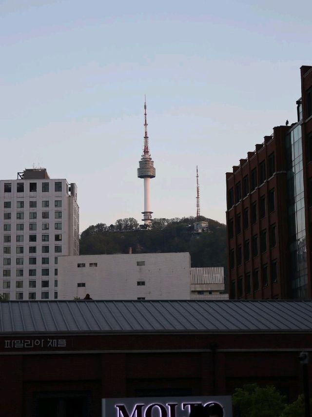 명동역 카페 추천, 몰또