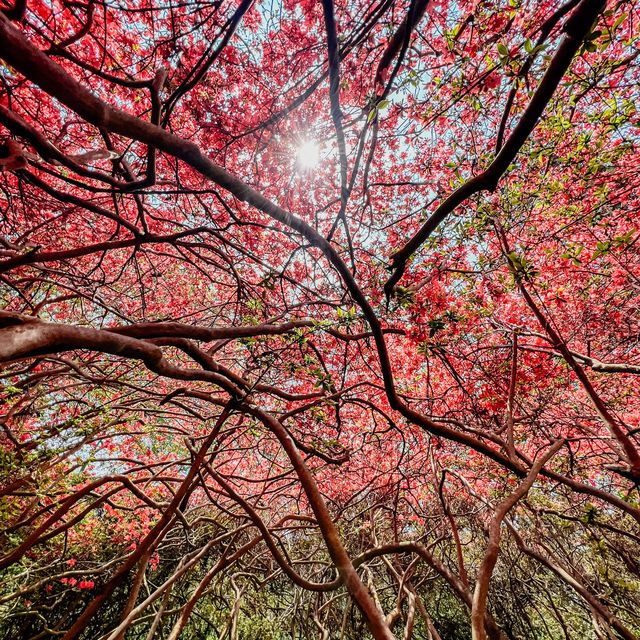 익산 비밀의 정원