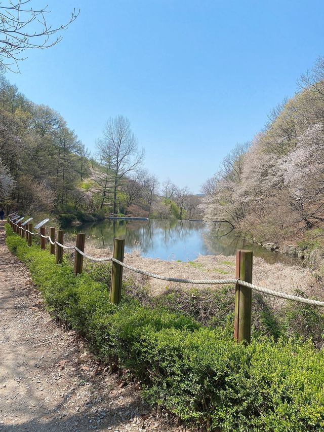 💛광교산 등산💛