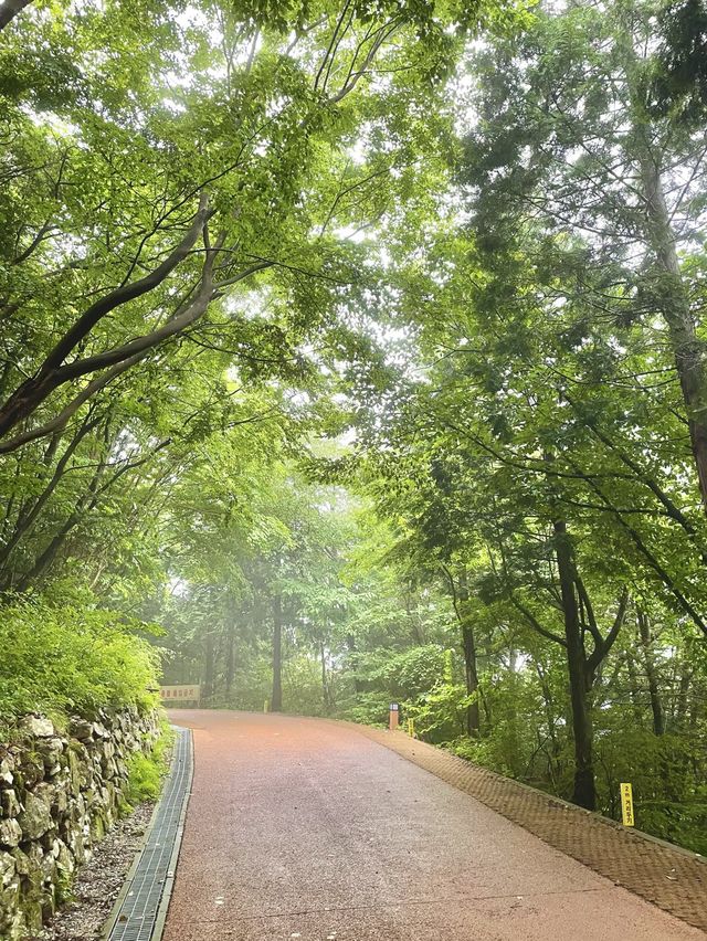 소원이 이루어지는 남해 보리암 🗿