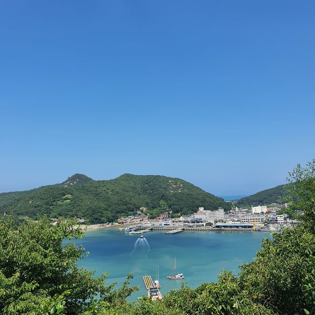 고흥 쑥섬