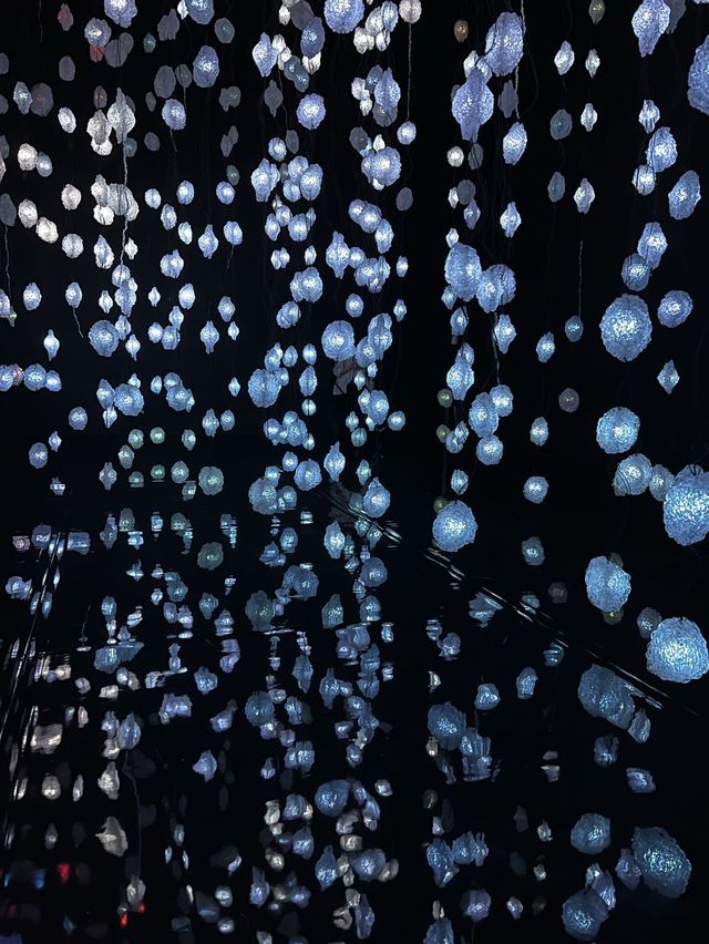 近期打卡必去光影展