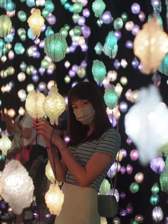 近期打卡必去光影展