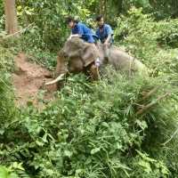 Visiting Elephants camp 