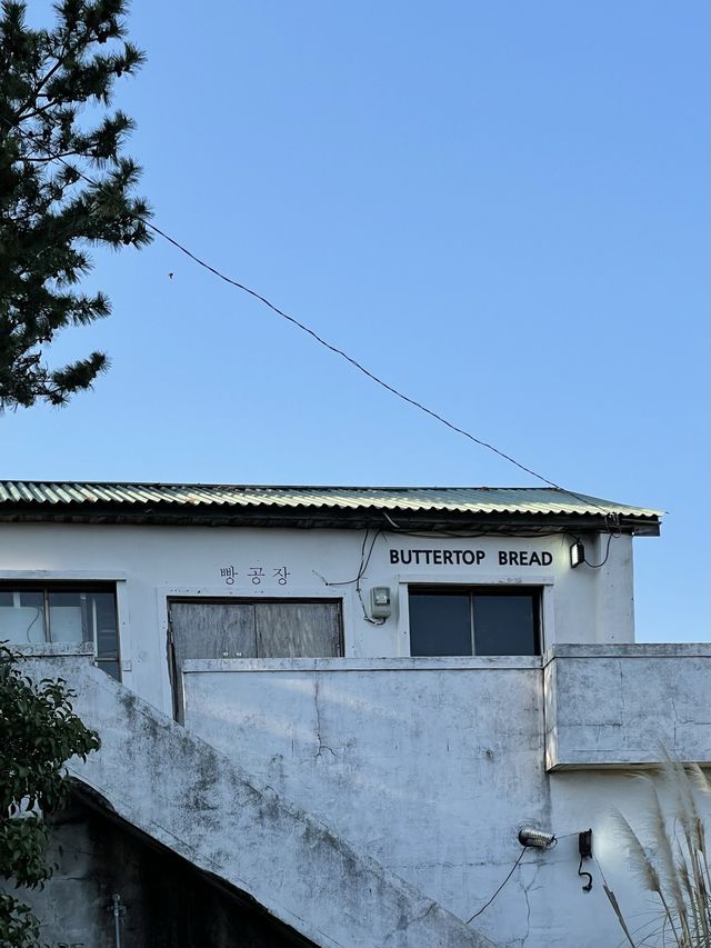 < 제주 카페 > 투박한 외관 속 빈티지 인테리어가 매력적인 밀크티 맛집, vols kafe 볼스카페