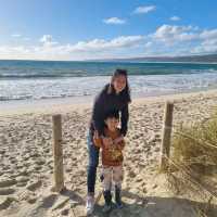 Beautiful Hamelin Bay 