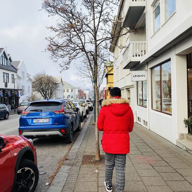 city tour in reykjavik