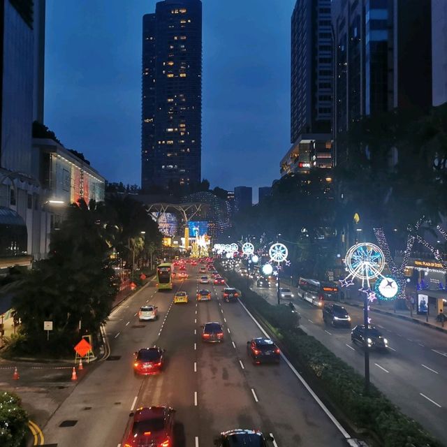 annual Xmas light up at Orchard Rd