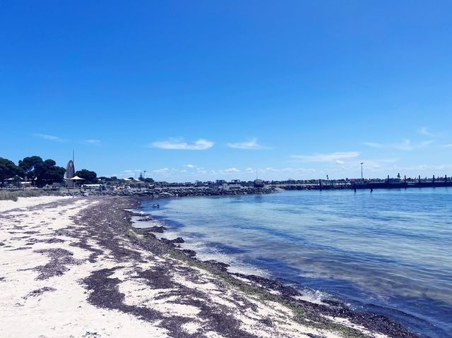 Rottnest Island!😎 Beachin’ The Beach!🤪