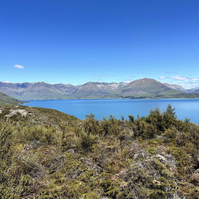NZ 紐西蘭 南島 皇后鎮 Bennetts Bluff Viewpoint