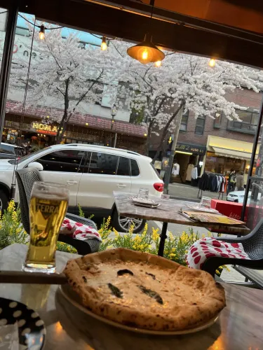 韓国/ソウル【合井】桜の木を眺めながらお食事ができるピザ屋さん🍕🌸