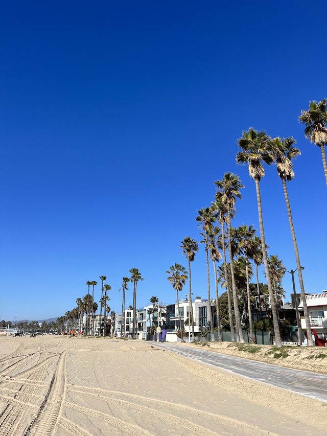🇺🇸 洛杉磯 威尼斯海灘 Venice Beach