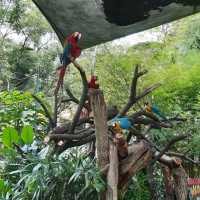 Sunway Lagoon, Malaysia