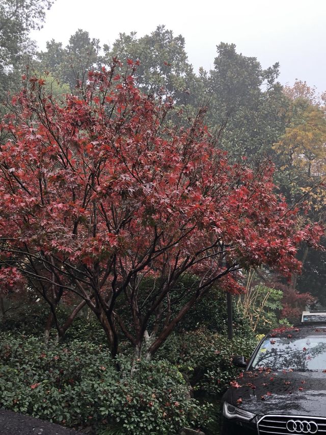 Xi/West Lake, Hangzhou