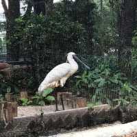 香港動植物公園150周年