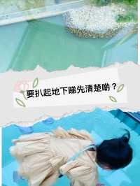 第一次坐水晶車廂，好好玩啊！