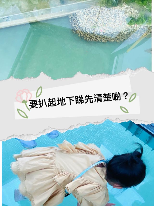 第一次坐水晶車廂，好好玩啊！