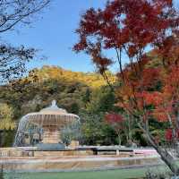 【山梨】紅葉の名所「昇仙峡」
