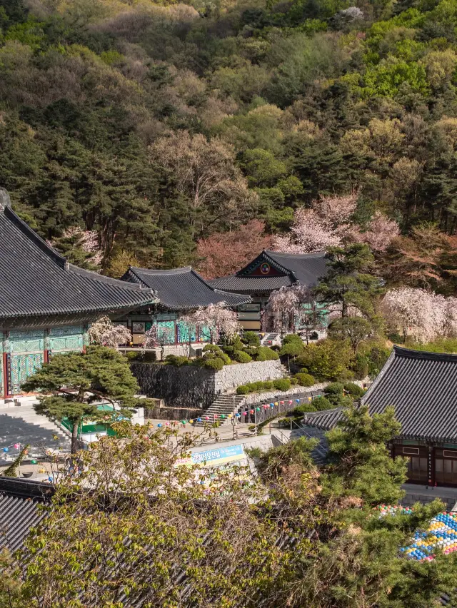 서봄에 빠질 수 없는 서울 근교 여행지 