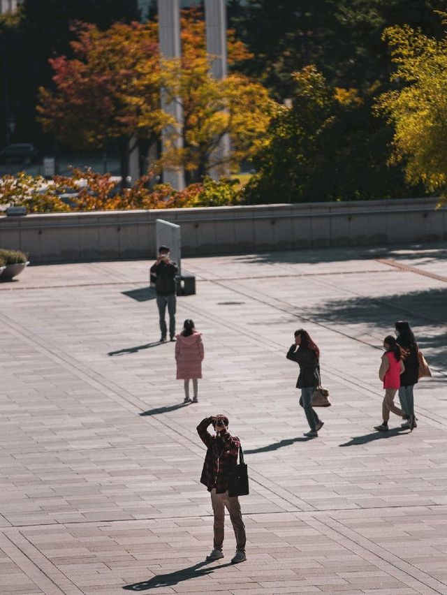 사진 찍기 좋은 곳, 국립중앙박물관