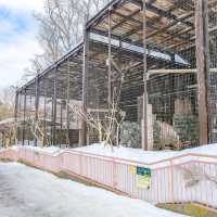 冬の円山動物園・猛禽舎