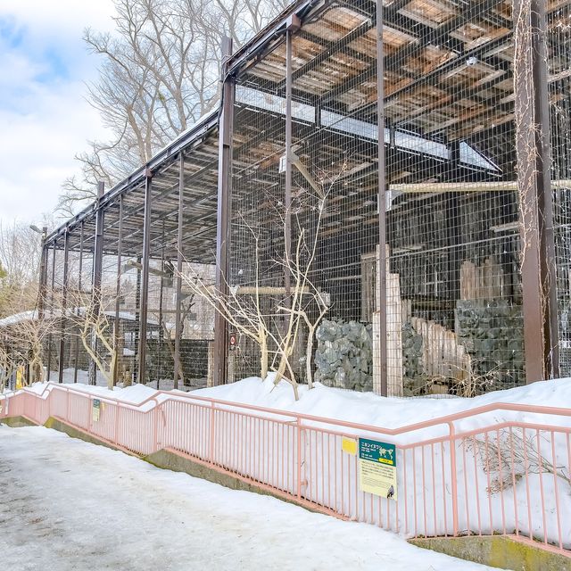 冬の円山動物園・猛禽舎