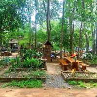 ร้านกาแฟในสวนป่า ร้อยเอ็ด