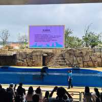X Park 水族管 