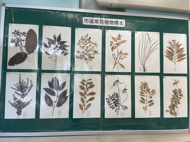 自然保育@展覽室！