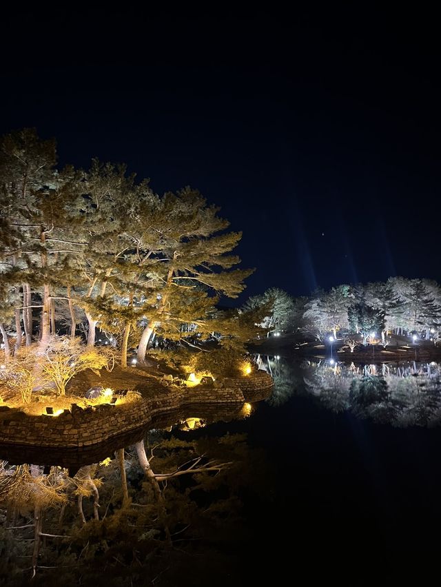 경주 야경이 아름다운 '동궁과 월지' 🎑
