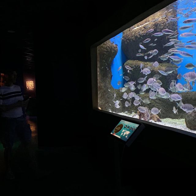 Seville aquarium 