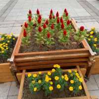 Earthquake Memorial in Tangshan