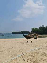 Siloso Beach Sentosa