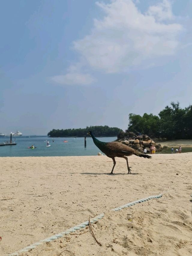 Siloso Beach Sentosa