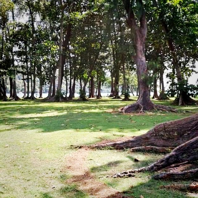 Saint John Island(located off singapore)