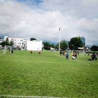 Best Field ⭐