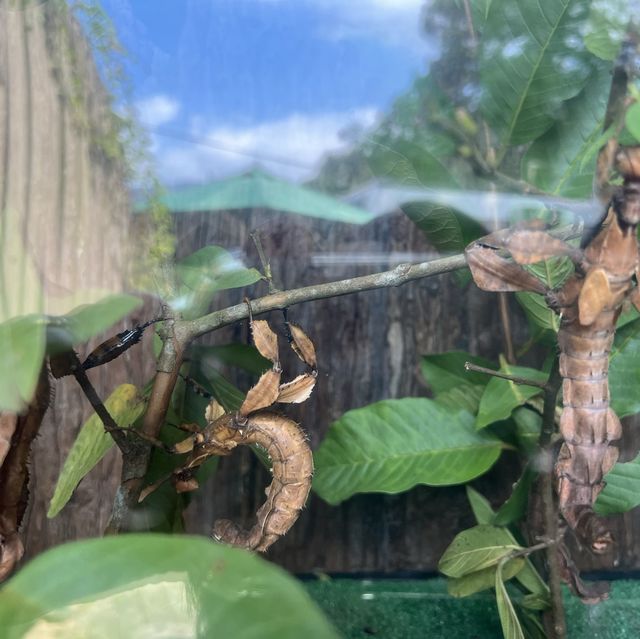 同小朋友去睇動物🤓