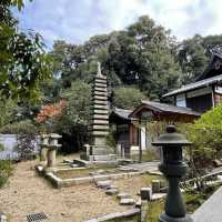 【京都府】5社を祀る不思議な神社へ