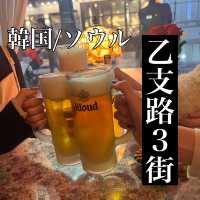 韓国/ソウル【乙支路3街】おすすめの飲み屋街の中のお店紹介💕