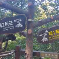 제주도 수학여행 필수코스 천지연폭포를 가보자