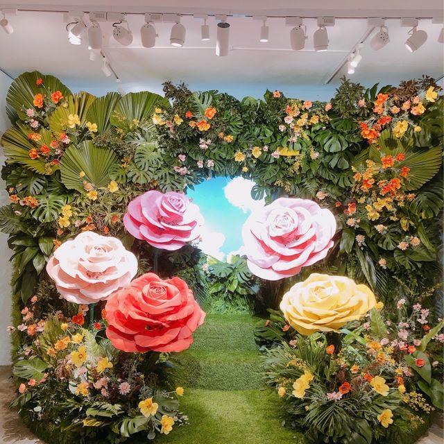 逛逛發現走進美麗世界🌺🌸來自未來的Kotex花園🌼🌻
