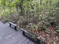 Come Explore Lower Peirce Reservior 