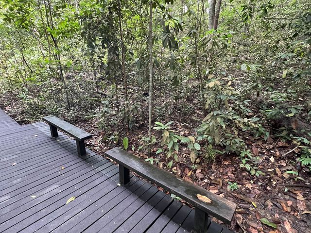 Come Explore Lower Peirce Reservior 