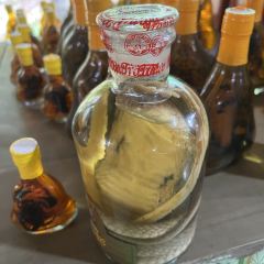 Mekong張用戶圖片